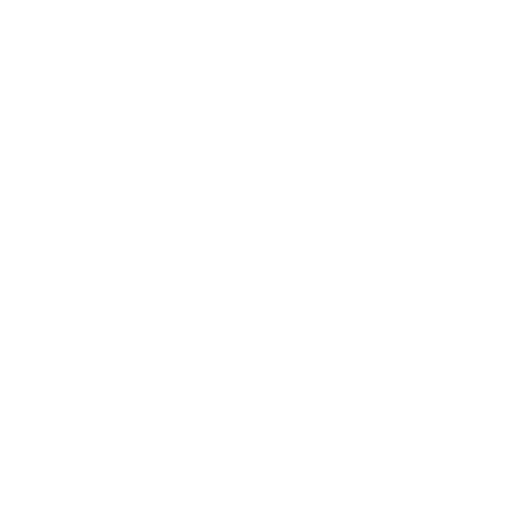 Audit et Commissariat